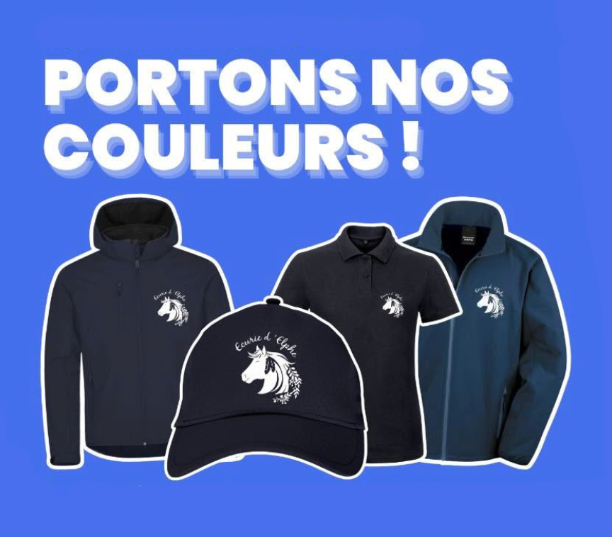 Boutique & Sellerie