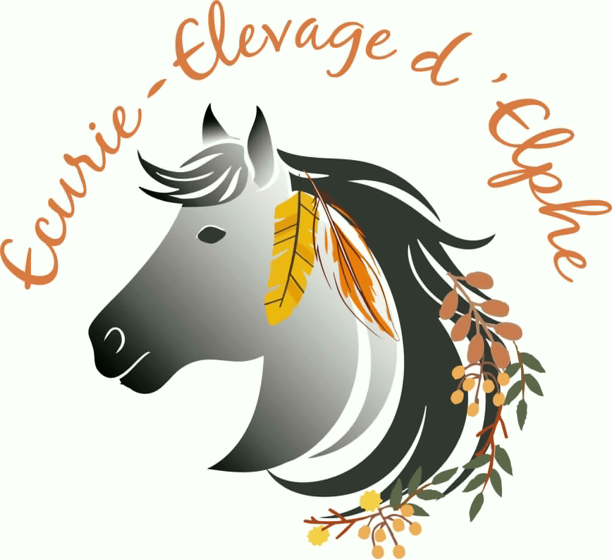 Logo Écurie - Élevage d'Elphe